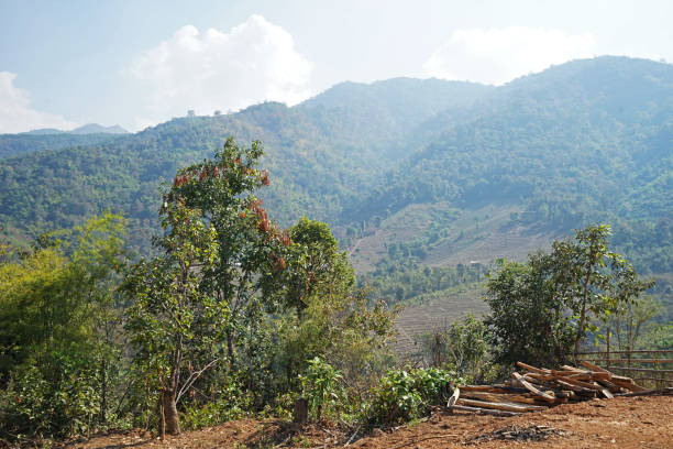 istock Natural landscape of green mountain range with cloudy sky 1256449047