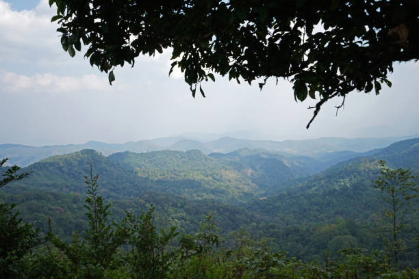 istock Natural landscape of green mountain range with cloudy sky 1256449215