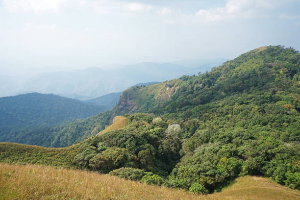 istock Natural landscape of green mountain range with cloudy sky 1256449480