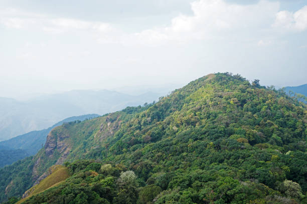 istock Natural landscape of green mountain range with cloudy sky 1256450171