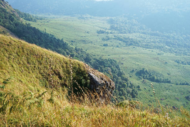istock Natural landscape of green mountain range with cloudy blue sky 1256452404