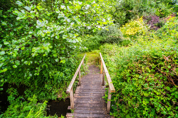 Generic path footpath rolling landscape walking hiking rambling trekking fitness exercise English Midlands UK sunlight lush green agricultural land farmland.