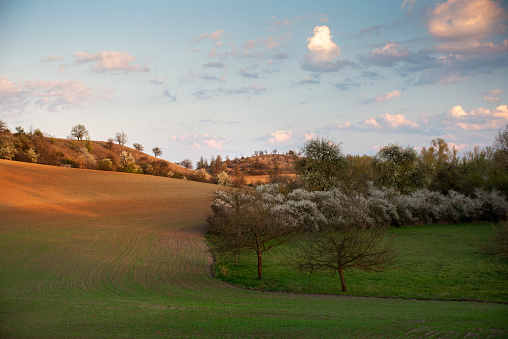 Hilly landscape in spring in a biosphere reserve Schorfheide-Chorin, Brandenburg near the Polish border.
