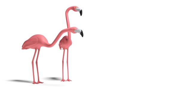 istock Pink flamingo illustration - 3D rendering 1256453767
