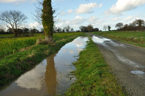 istock A flooded country lane in Brittany 1256453779