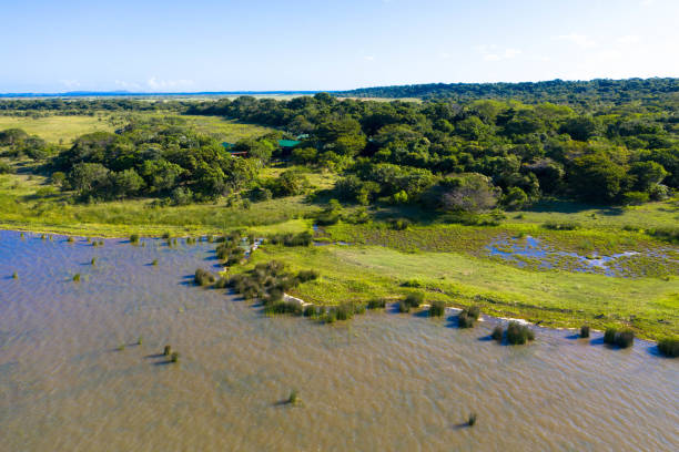 Aerial view of iSimangaliso Wetland Park. Maputaland, an area of KwaZulu-Natal on the east coast of South Africa. Drone view: Aerial view of iSimangaliso Wetland Park. Maputaland, an area of KwaZulu-Natal on the east coast of South Africa. Wetland Park is a mosaic of ecosystems and an incredible diversity of vegetation and wildlife isimangaliso wetland park stock pictures, royalty-free photos & images