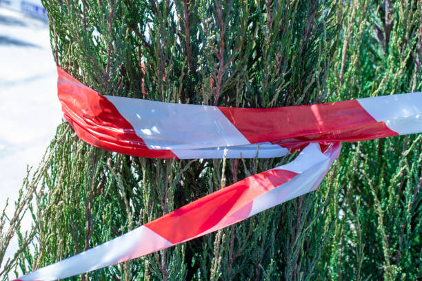 istock Tree wrapped in white with a red ribbon. Prohibition tape. 1256454662