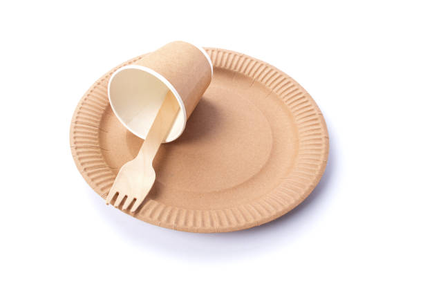 istock Paper plate, glass and wooden fork. Eco friendly, compostable dishes, disposable, recyclable materials on a white background. Zero plastic, saving the planet, stop plastic. Recycling concept. 1256454752