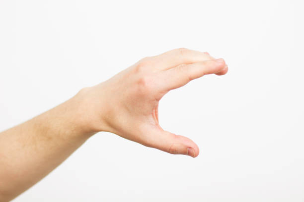istock Hand showing size gesture isolated on white - copy space, blank, male finger palm 1256455861