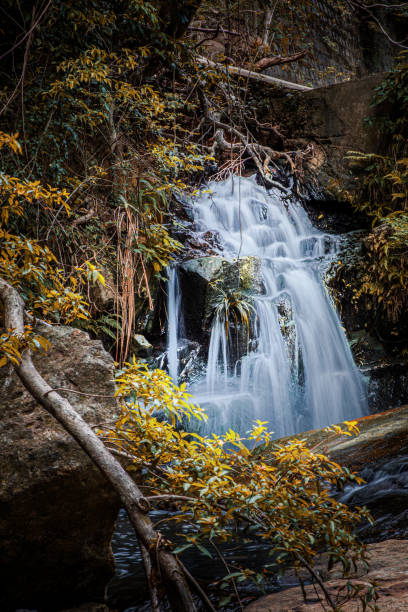 istock Waterfall in Autumn, Sunny day, Hong Kong 1256455932