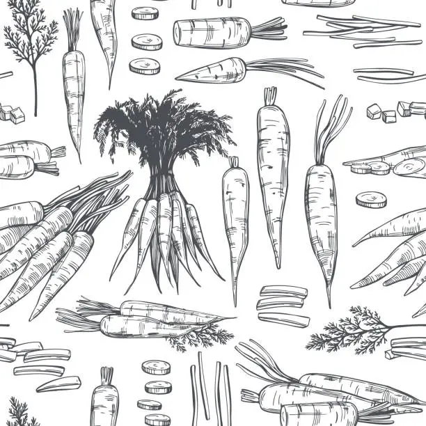 Vector illustration of Hand drawn carrot .  Vector  pattern.