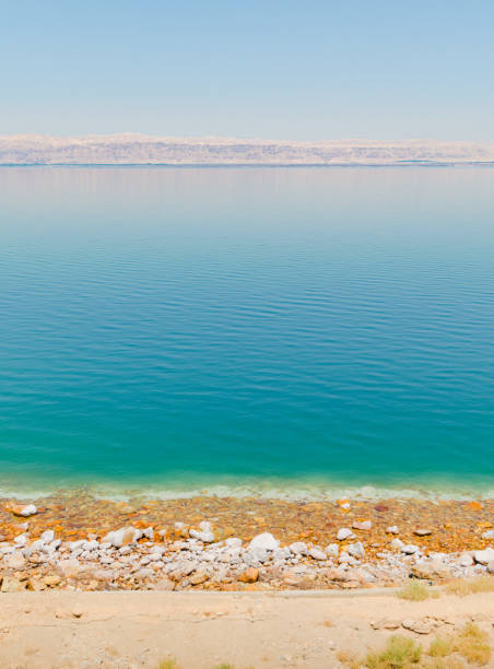 istock Dead Sea landscape in Jordan, Middle East 1256457516