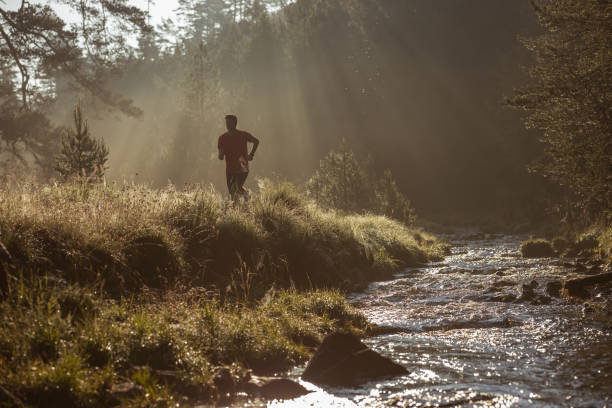 istock Morning jogging in a nature 1256459737