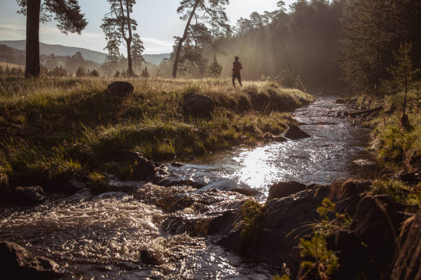 istock Morning jogging in a nature 1256459786