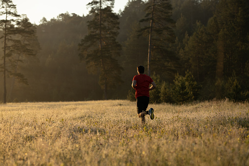 Young man is jogging in a field surrounded with the forest at sunrise.