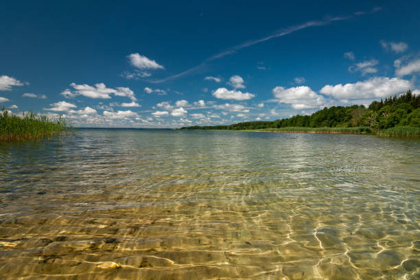 istock Paradise beach on a large lake with crystal clear shallow coastal water and a sandy bottom under a blue sky. summer holiday concept 1256460478