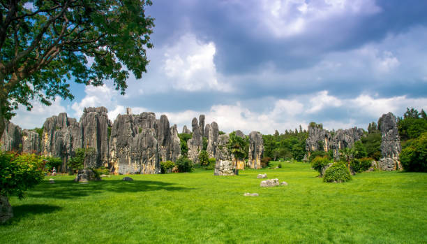 istock Kunming City,Stone Forest Scenic 1256461970