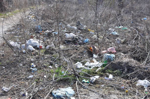 istock Pollution of the environment with plastic garbage in the forests and fields is a serious ecological problem. 1256462159