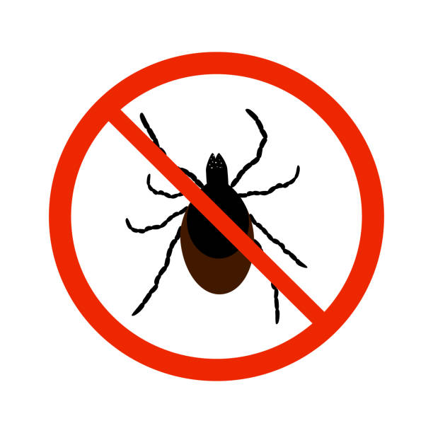 istock Mite sign isolated on white background. Black ant silhouette crossed in red circle. 1256463373