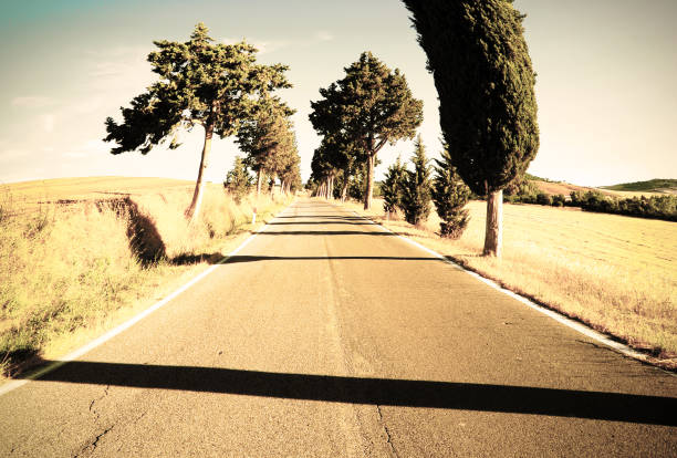 Tuscan landscape with asphalt road