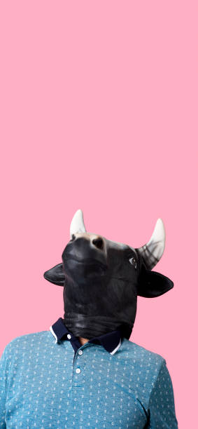 istock man wearing a cow mask, in stories format 1256465772