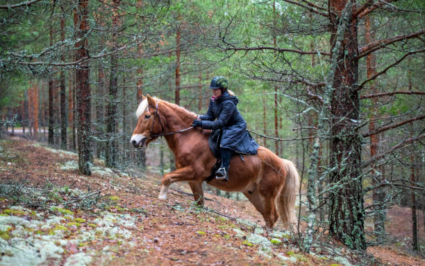 Woman horseback riding