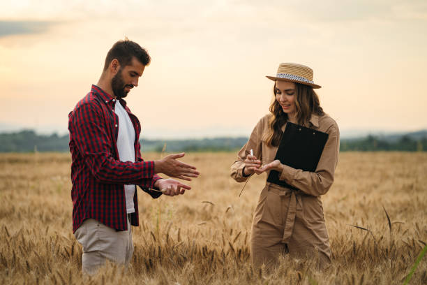istock Farmers in the wheat field 1256467609