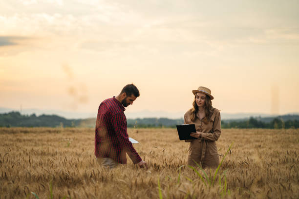 istock Farmers in the wheat field 1256467616