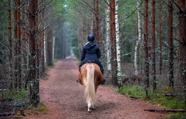 istock Woman horseback riding 1256467621