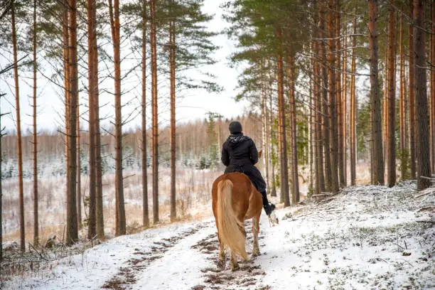 Photo of Woman horseback riding in winter in forest