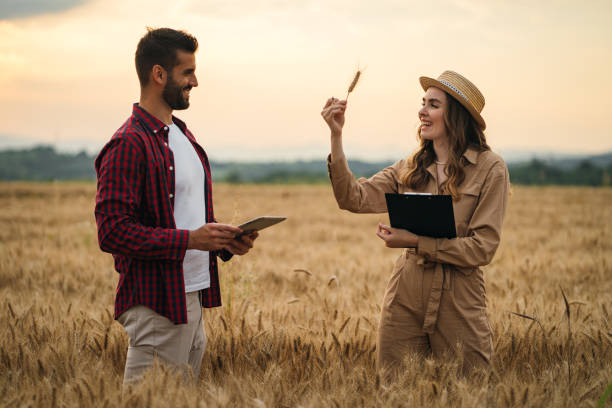 istock Farmers in the wheat field 1256467645