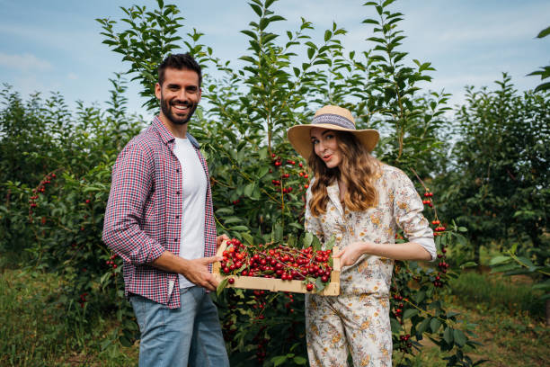 istock Beautiful couple in the orchard 1256468020
