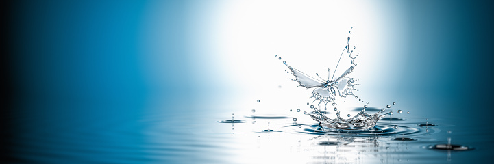 Water butterfly. A new life. The birth of the life. Concept. 3D Render