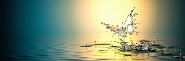 istock Hot Water Butterfly Splash 1256468061