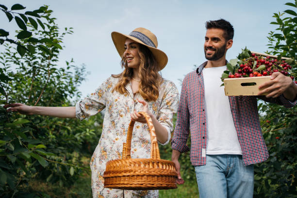 Beautiful couple in the orchard