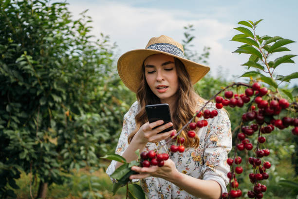 istock Beautiful woman in the orchard 1256468098