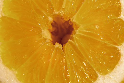 Detail photo of a slice of lemon.