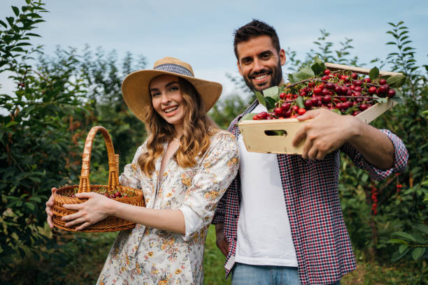 istock Beautiful couple in the orchard 1256468686