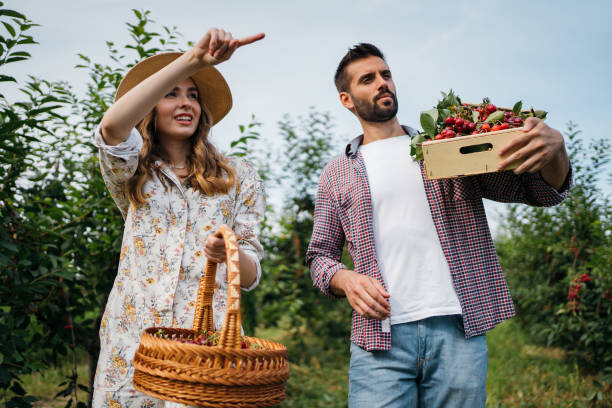 istock Beautiful couple in the orchard 1256468690