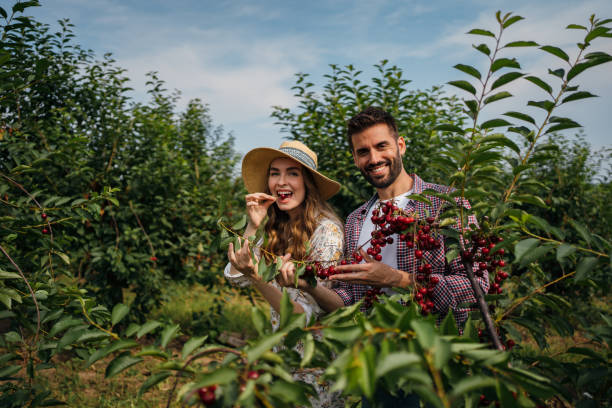 istock Beautiful couple in the orchard 1256468714