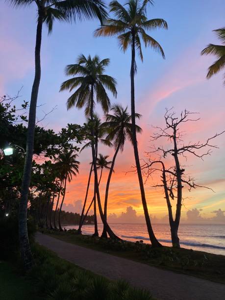 istock Dawn at the Caribbean 1256470566