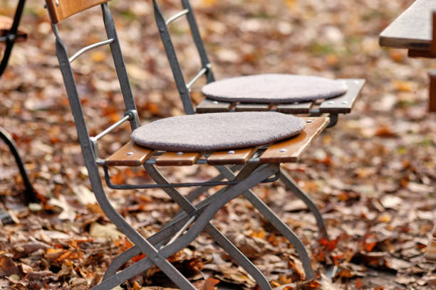 Two empty chairs made of steel and wood with seat cushions standing outdoors in a lawn covered with fallen brown autumn foliage at the end of season. Seen in Bavaria, Germany in November.