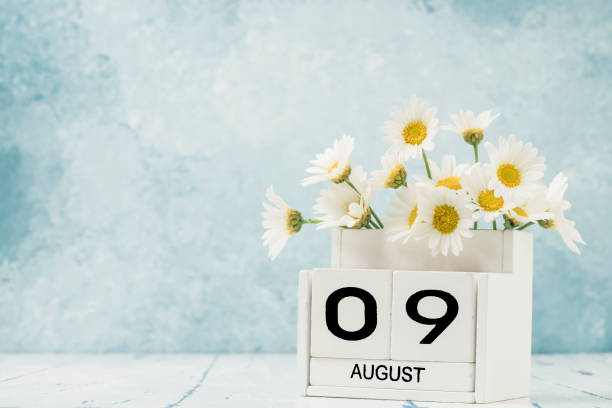 istock White cube calendar for august decorated with daisy flowers 1256472590