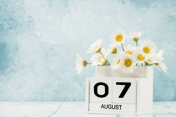 istock White cube calendar for august decorated with daisy flowers 1256472591
