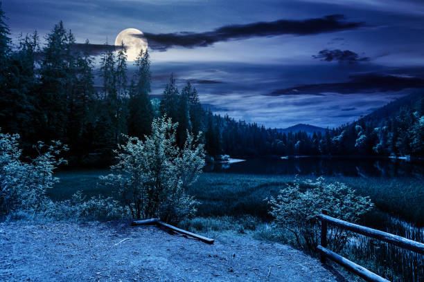 istock scenery around the lake in mountains at night 1256472627