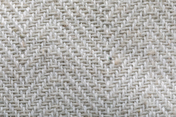 istock a tissue structure closeup. fine grain felt beige fabric. Fabric background. White fiber texture polyester close-up. 1256474127