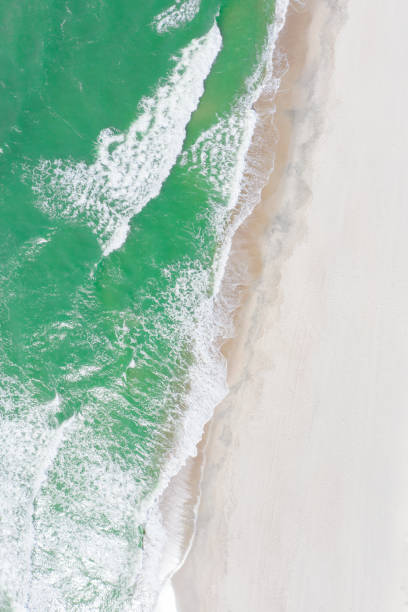 istock Baltic sea beach from above. Aerial drone shot. 1256476317