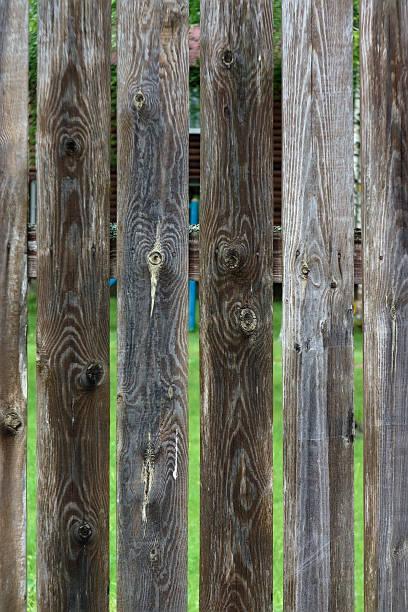 istock old fence made of unpainted boards (fragment) 1256477896