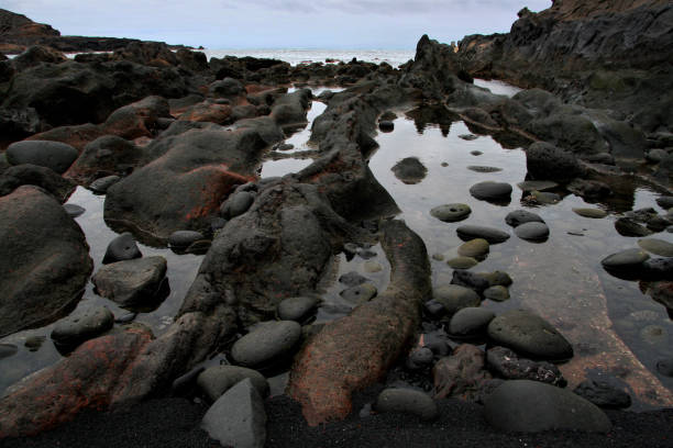 istock Sea of rocks 1256479597