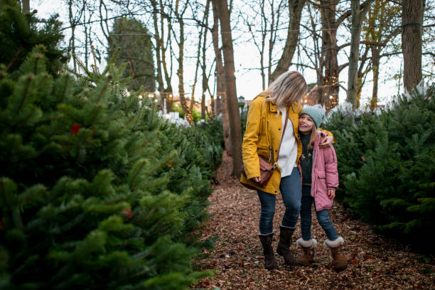 istock Christmas Fever 1256484723